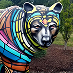BSU Bears